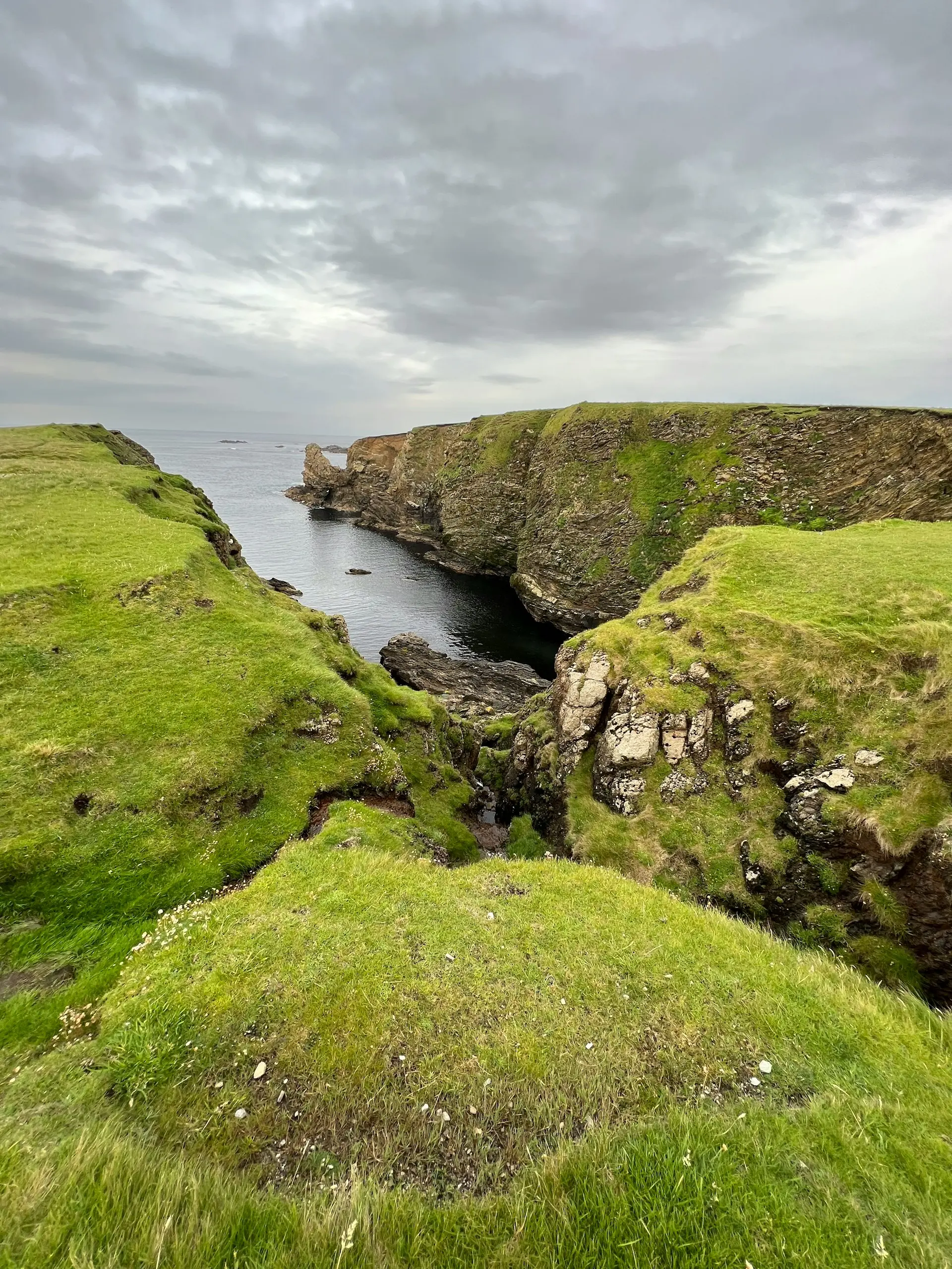 Rocky green cliffs overlooking the sea.